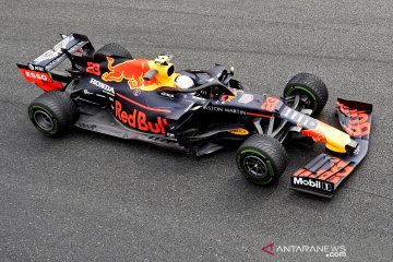 Bos Toro Rosso inginkan Albon tetap di Red Bull musim depan