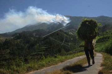 Kebakaran hutan gunung Merbabu