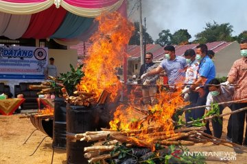 BKP Pangkalpinang musnahkan daging sapi beku ilegal