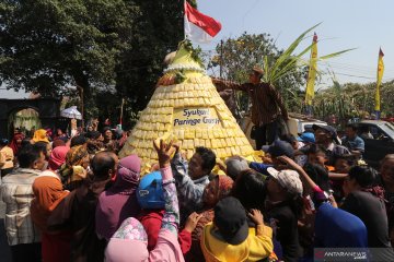 Bersih desa sentral tahu takwa