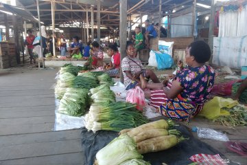 Pemkab Fakfak imbau mahasiswa bertahan di kota studi