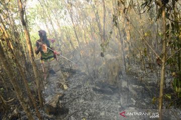 90 titik panas terdeteksi di wilayah Kalimantan Timur