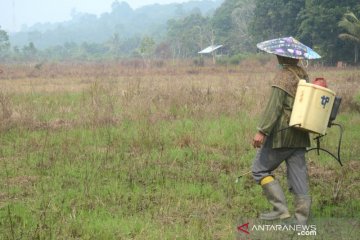 Petani Kaltara bantah bakar lahan