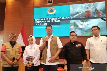 BNPB: Karhutla terbesar di Riau lebih dari 40 ribu ha