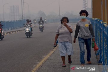 Kualitas udara Riau masih buruk