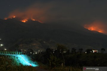 Dampak kebakaran hutan Gunung Merbabu