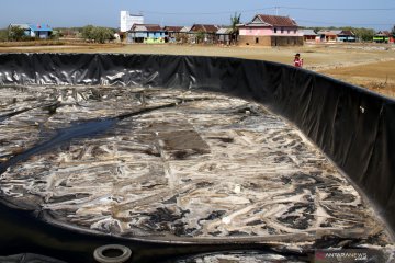 Embung mengering terdampak kemarau