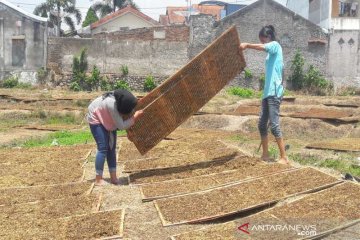 Harga tembakau di Temanggung di bawah kualitas