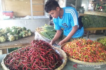 Penurunan harga cabai dorong deflasi di Batam