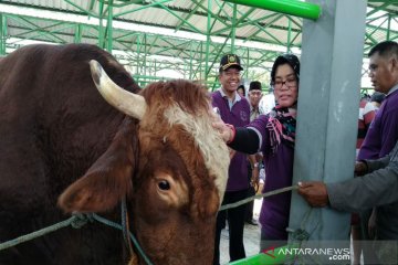 Kulon Progo selenggarakan Panen Pedet Upsus Siwab 2019