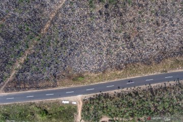 Kebakaran hutan di Jabar