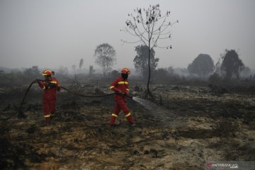 Kebakaran hutan-lahan membayangi Riau pada masa pancaroba