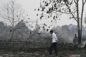Status siaga darurat kebakaran hutan-lahan Riau berakhir