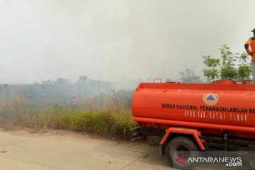 Menteri LHK minta pemda tetap waspada fluktuasi titik api karhutla