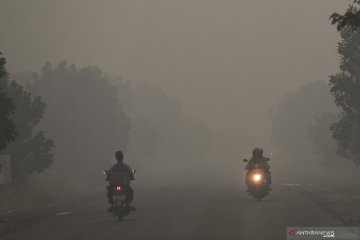 Kabut asap pekat di Palangka Raya