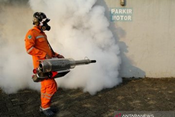 Pencegahan demam berdara