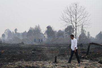 Presiden Jokowi tinjau penanganan kebakaran lahan di Pelalawan Riau