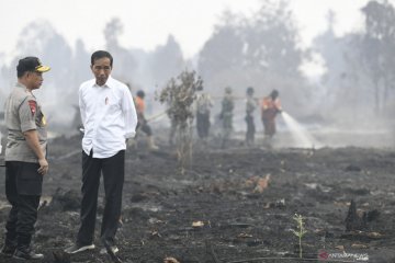 Presiden Jokowi diharapkan reformasi manajemen pencegahan karhutla