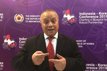 Pengamat: Indonesia dapat jadi jembatan perdamaian Rusia-Ukraina