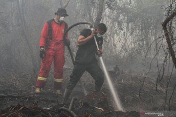 Riau diperkirakan alami kerugian Rp50 triliun akibat asap karhutla