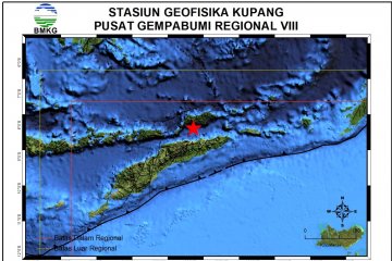 Gempa magnitudo 4.4  guncang Alor