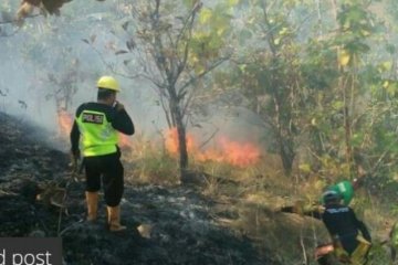 Dua hektare lahan warga Majene hangus terbakar