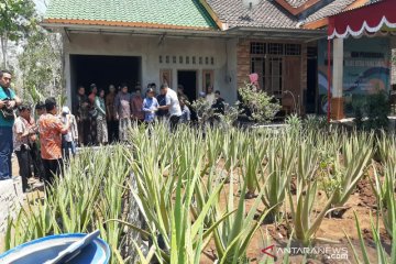 Pemkab Gunung Kidul beri pelatihan pengolahan aloevera