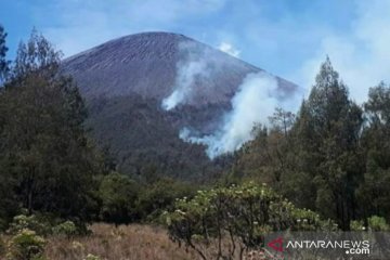 Kebakaran hutan di jalur pendakian Gunung Semeru