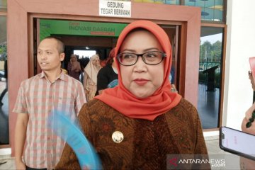 Terbang ke Korea, Ade Yasin akan jual potensi wisata Bogor