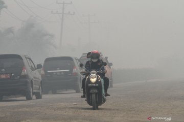 Sekolah di Pekanbaru lumpuh akibat kabut asap kian parah