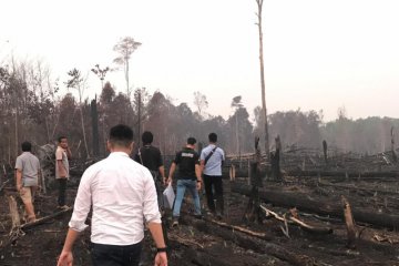 Tim gabungan padamkan api di ladang milik warga Kedamin Hulu