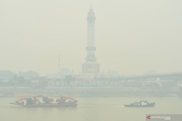 Pengusaha kecil di Jambi keluhkan kabut asap