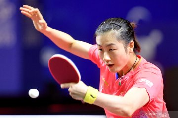 Liu Shiwen melaju ke semifinal Kejuaraan Tenis Meja Asia