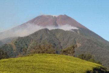 Dandim: Karhutla lereng Gunung Slamet merambat ke wilayah Banyumas