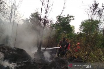 Antisipasi kebakaran hutan, patroli di kawasan tahura diintensifkan
