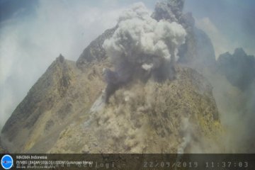 BPBD Sleman: Awan panas Gunung Merapi akibatkan hujan abu