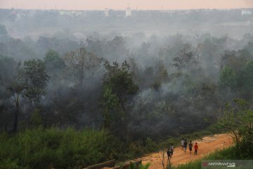 Kebakaran lahan di perbatasan kota Banjarmasin