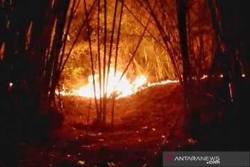 Kawasan perbukitan Gunung Lagadar Kabupaten Bandung kebakaran