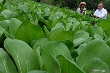 Pemerintah daerah disarankan kembangkan potensi agrowisata di Karo