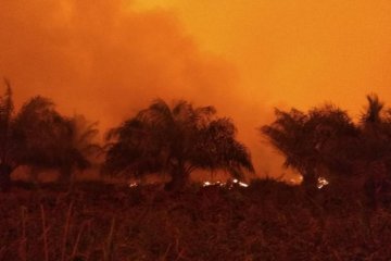 Satgas masih berupaya sekat kebakaran lahan di Kumpeh Ulu