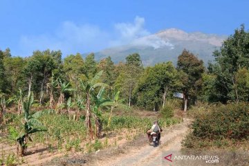 Kebakaran hutan melanda lereng Gunung Sumbing