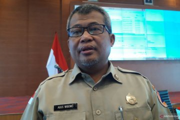 BNPB: Pergerakan tanah tambang di Kalimantan Utara bukan likuefaksi