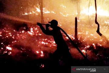 Penanganan karhutla berlanjut, KLHK segel 62 lahan perusahaan terbakar