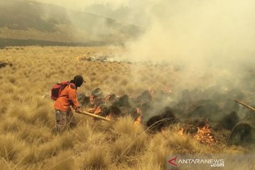 Kebakaran hutan di Gunung Semeru tersisa 2 titik api