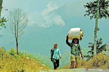 Kebakaran hutan di gunung Sumbing