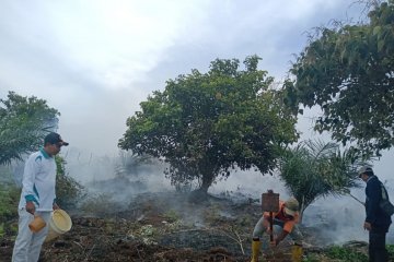 Tim gabungan berjibaku padamkan kebakaran lahan gambut Mukomuko