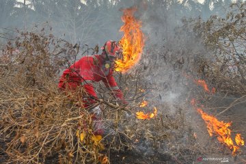 Hujan sisakan 152 titik panas indikasi karhutla di Riau