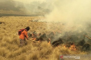 Kebakaran hutan di Gunung Semeru meluas capai 60,4 hektare