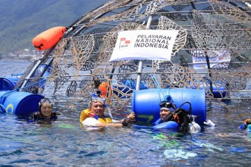 Pelni gelontorkan Rp775 juta tanam terumbu karang di Ternate