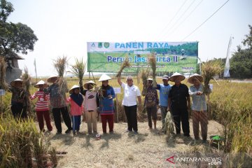 PJT II Jatiluhur: Air di saluran irigasi tetap mengalir selama kemarau